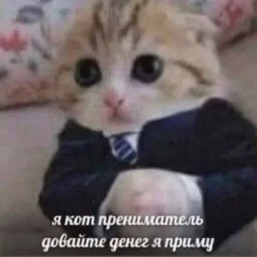 💰 Стикер «Kitties.exe» для Telegram