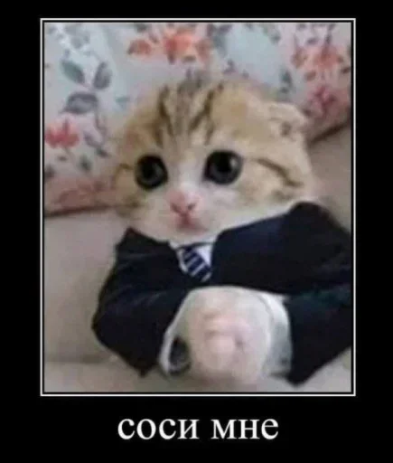 👅 Стикер «Kitties.exe» для Telegram