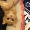 Стикер 50 больше ྀི