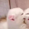 Стикер 3 больше ྀི