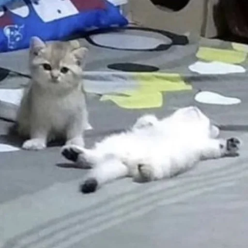 🤕 Стикер «Kittos» для Telegram