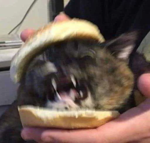 🍔 Стикер «Kittos» для Telegram