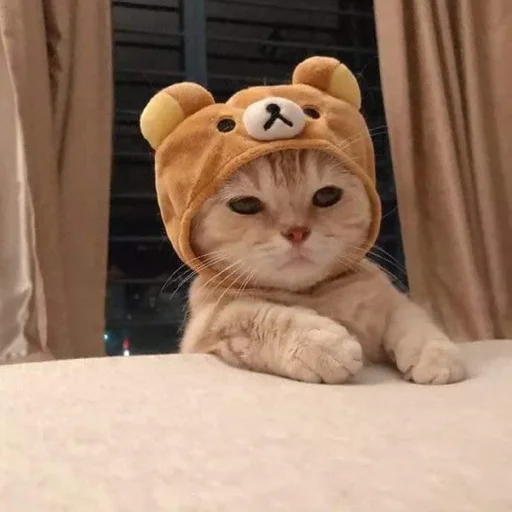 😕 Стикер «Kittos» для Telegram