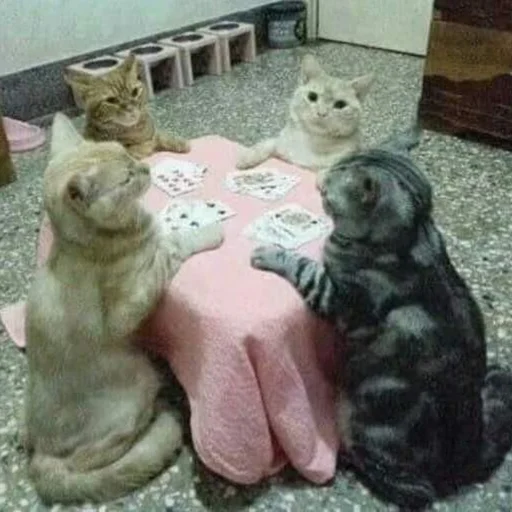 4️⃣ Стикер «Kittos» для Telegram