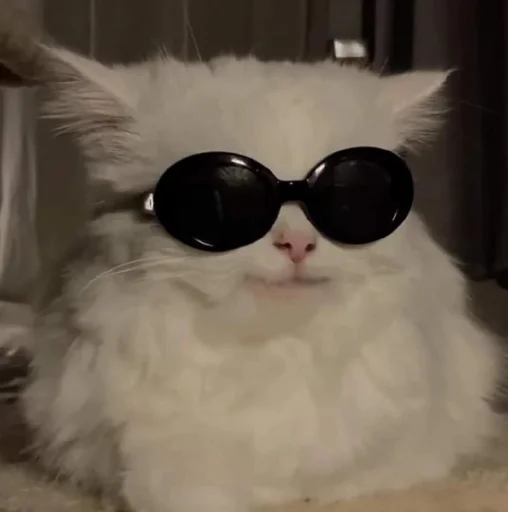 😎 Стикер «Kittos» для Telegram
