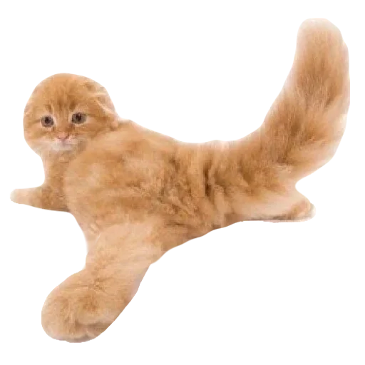 💕 Стикер «cute kitty» для Telegram