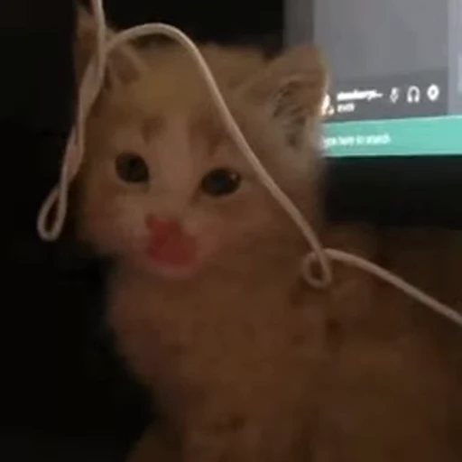 ❤️ Стикер «киськи 3» для Telegram