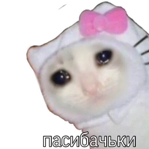 😔 Стикер «pigandcat» для Telegram