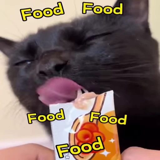 😼 Стикер «Кітті» для Telegram