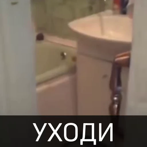🙈 Стикер «Котейкин стикерпак» для Telegram