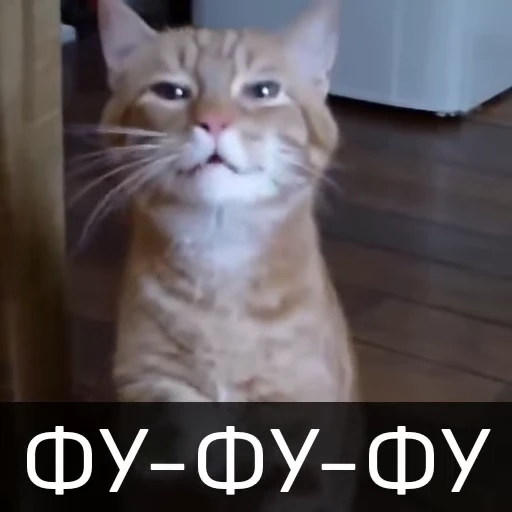 🤮 Стикер «Котейкин стикерпак» для Telegram