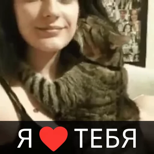 ❤️ Стикер «Котейкин стикерпак» для Telegram
