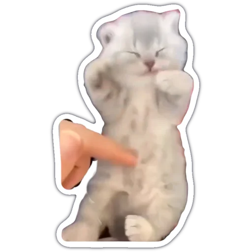 🔥 Стикер «kitty cute» для Telegram