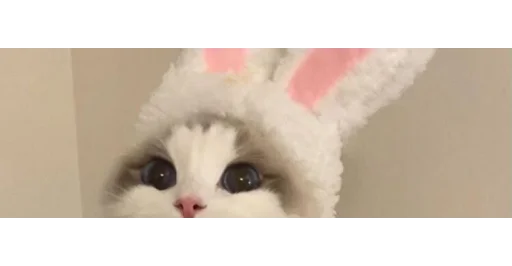 🐱 Стикер «kittens» для Telegram