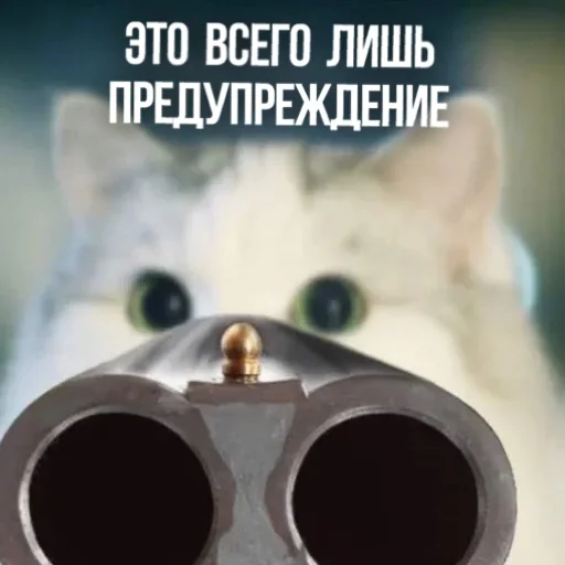 🔫 Стикер «Kittydogs» для Telegram