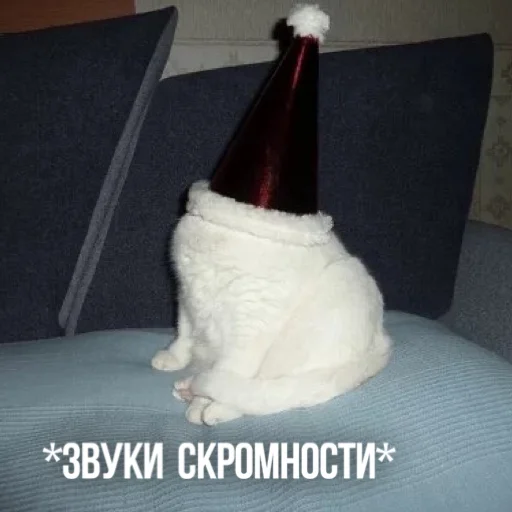 🙈 Стикер «Kittydogs» для Telegram