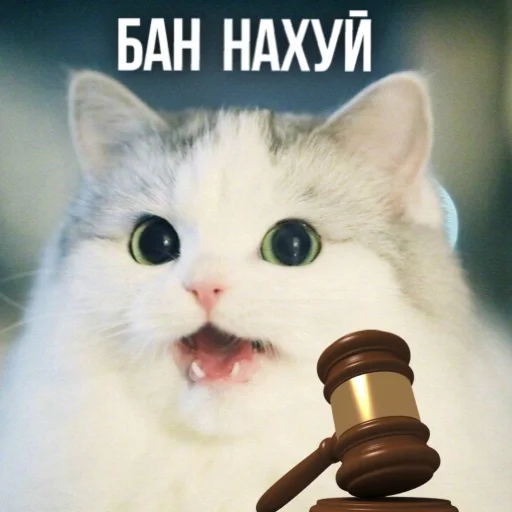 🔨 Стикер «Kittydogs» для Telegram