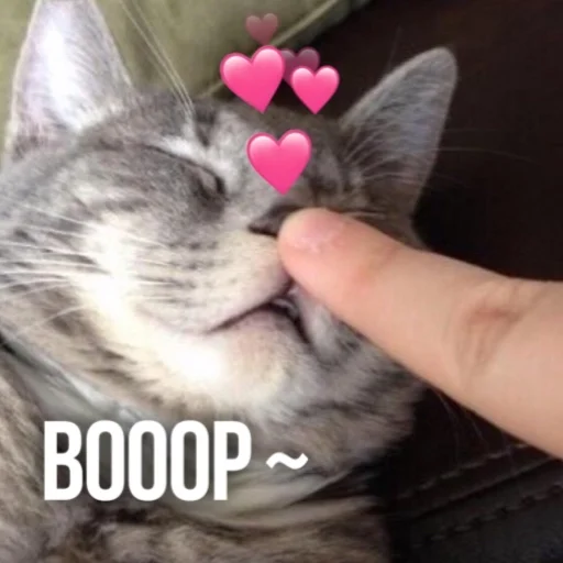 👆 Стикер «Kittydogs» для Telegram