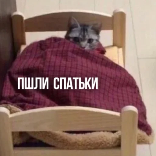 🛏 Стикер «Kittydogs» для Telegram