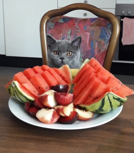 🐰 Стикер «kitty NDY» для Telegram