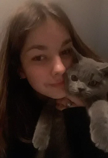 🐰 Стикер «kitty NDY» для Telegram