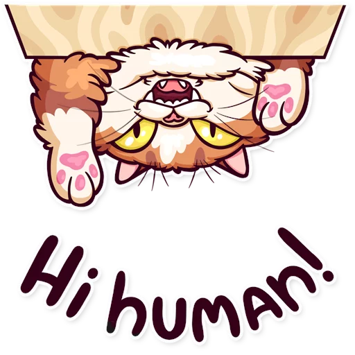 👋 Стикер «Meme Cats» для Telegram