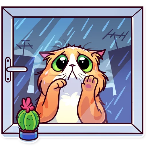 🌧 Стикер «Meme Cats» для Telegram