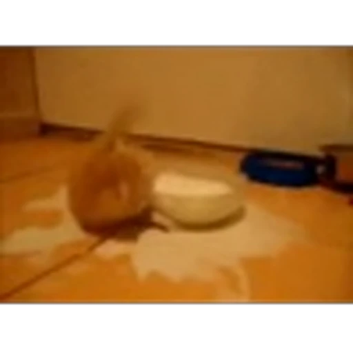 🐈 Эмодзи «Котики для Котят» для Telegram