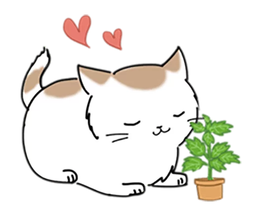 🌺 Стикер «Kitty Yuan» для Telegram