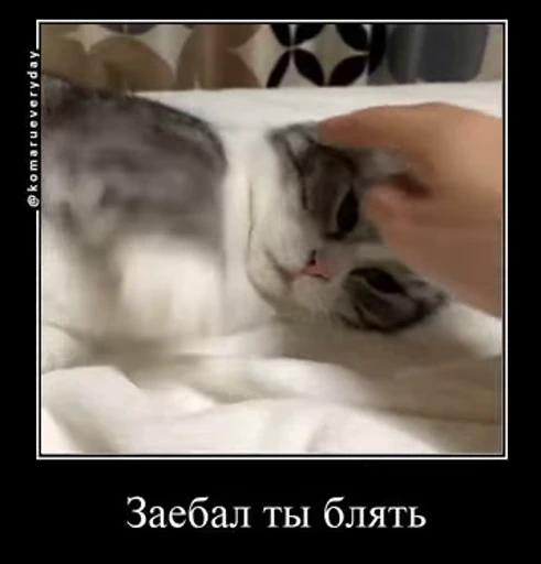 😞 Стикер «v ahue» для Telegram