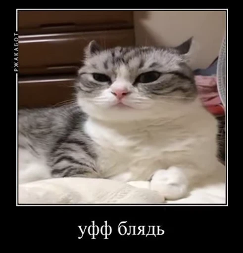 👍 Стикер «v ahue» для Telegram