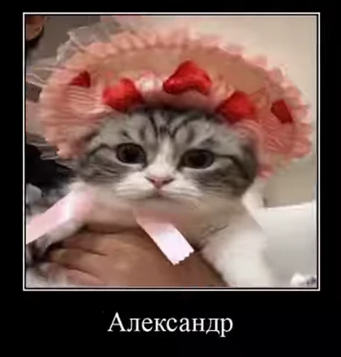 🤡 Стикер «v ahue» для Telegram