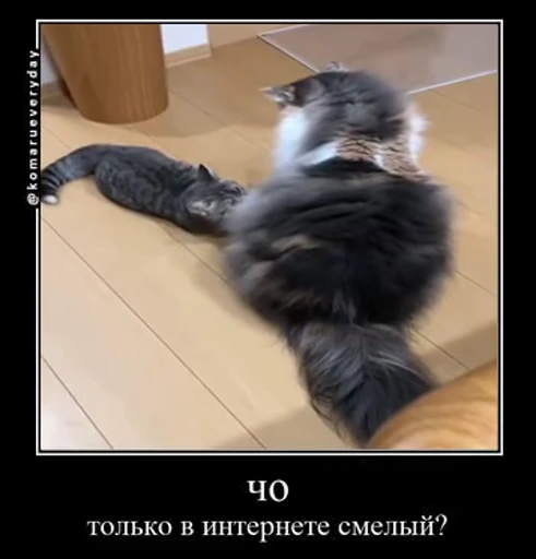 😠 Стикер «v ahue» для Telegram