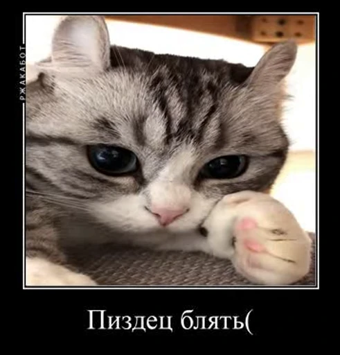 😢 Стикер «v ahue» для Telegram
