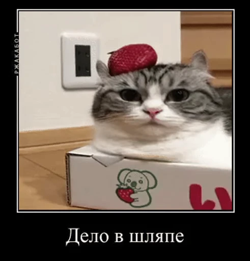 🎩 Стикер «v ahue» для Telegram