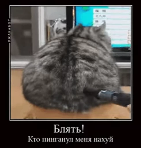 💩 Стикер «v ahue» для Telegram