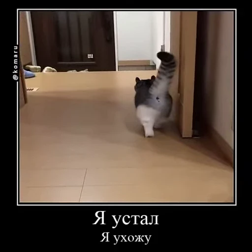 🫡 Стикер «v ahue» для Telegram