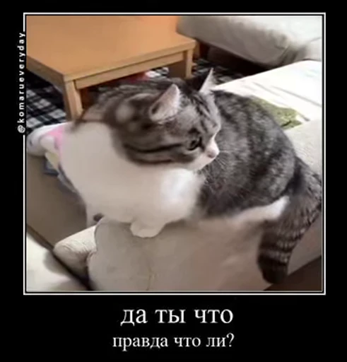 😯 Стикер «v ahue» для Telegram