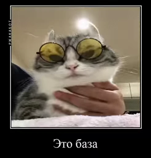 😎 Стикер «v ahue» для Telegram