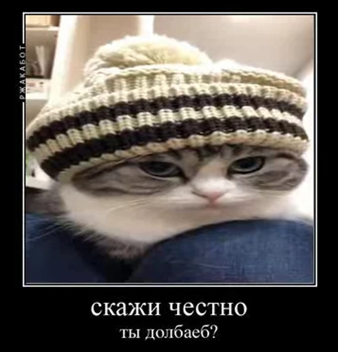 😡 Стикер «v ahue» для Telegram