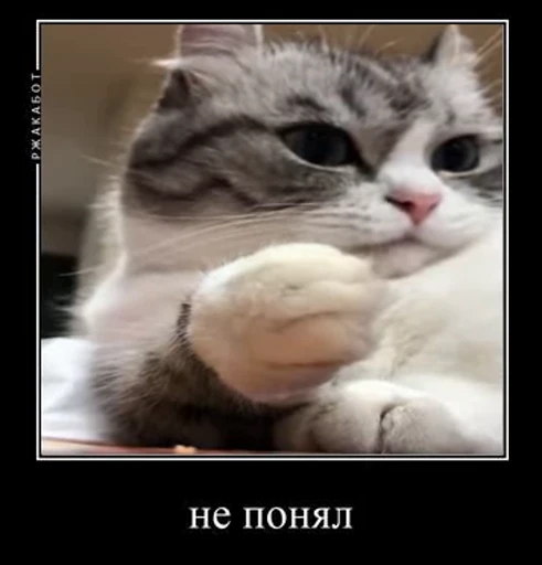 😕 Стикер «v ahue» для Telegram
