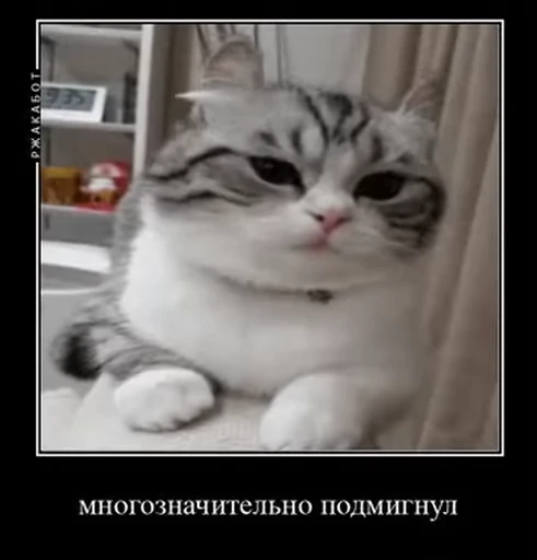 😉 Стикер «v ahue» для Telegram