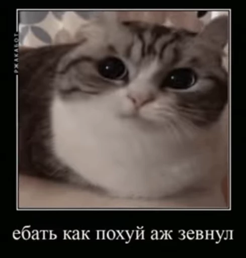 🥱 Стикер «v ahue» для Telegram