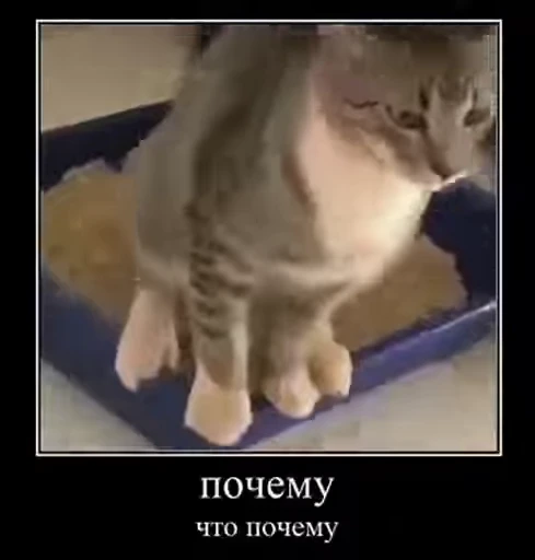 ❔ Стикер «v ahue» для Telegram