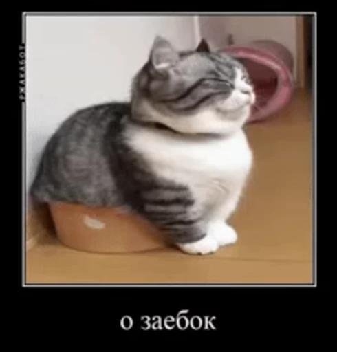 🤤 Стикер «v ahue» для Telegram