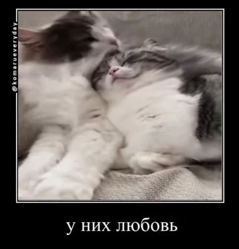 ❤️ Стикер «v ahue» для Telegram