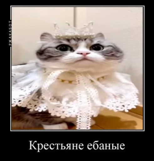 😎 Стикер «v ahue» для Telegram