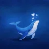 Обложка набора Киты
