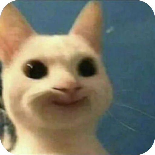 🐱 Стикер «Китя» для Telegram