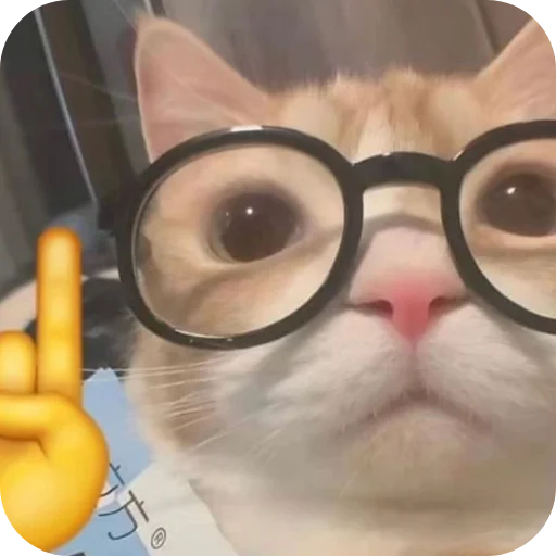 👓 Стикер «Китя» для Telegram